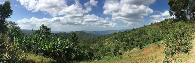 On the way to Kochere washing station