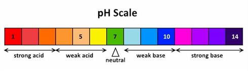 pH Scale