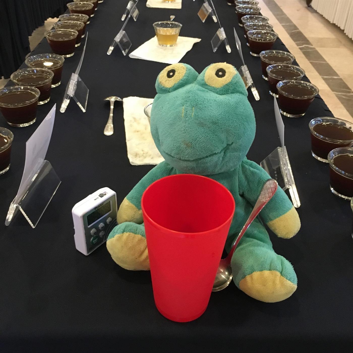 Frog Q at the tasting panel
